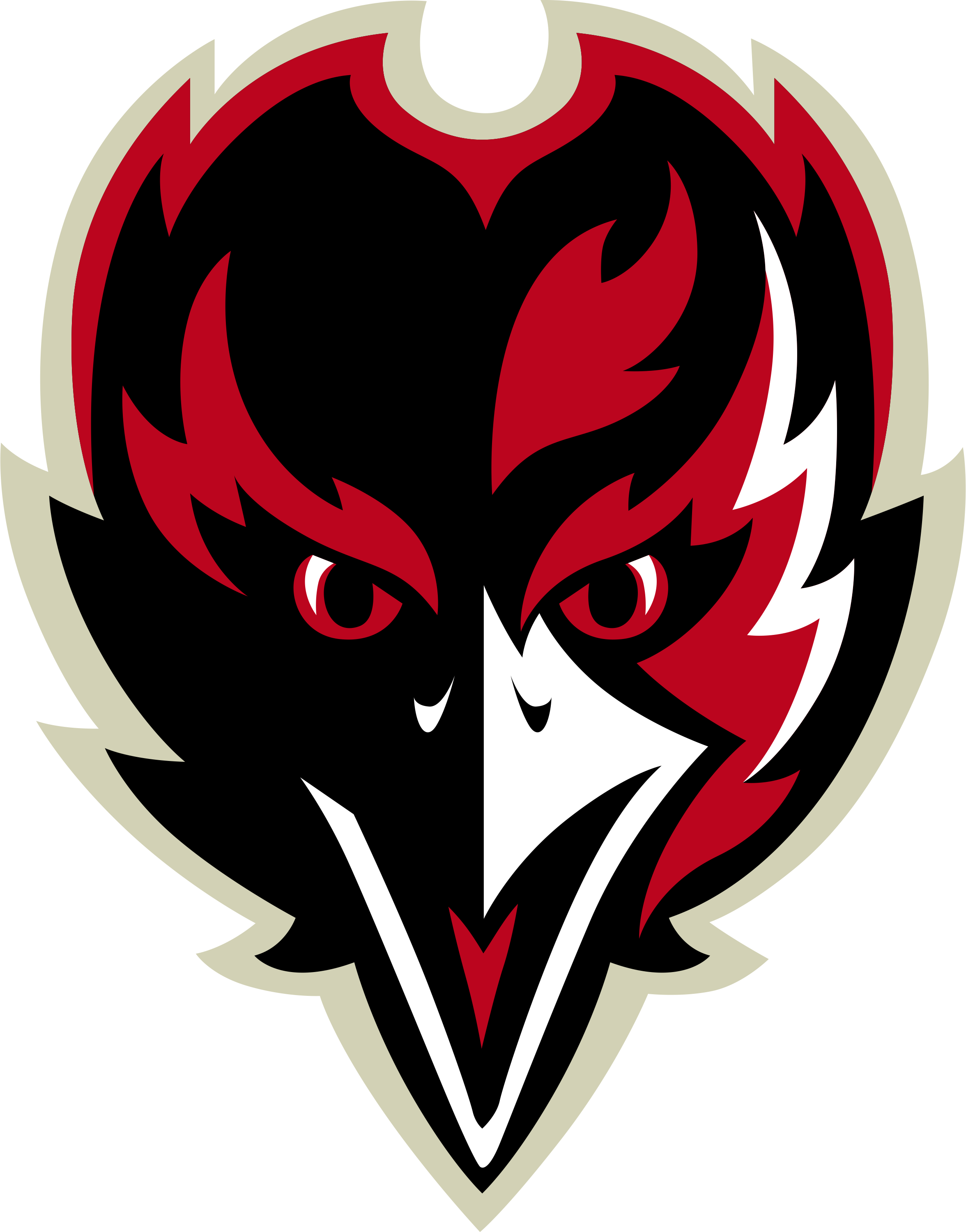 Robbinsville Football